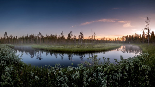 Lake forest sunset mountains fog free wallpaper for desktop - medium preview image