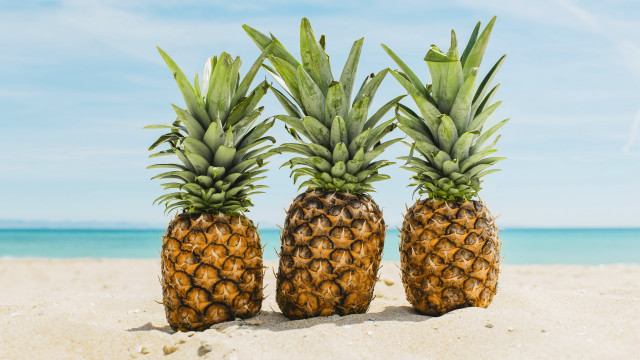 Pineapples beach sand ocean sky free wallpaper - medium preview image