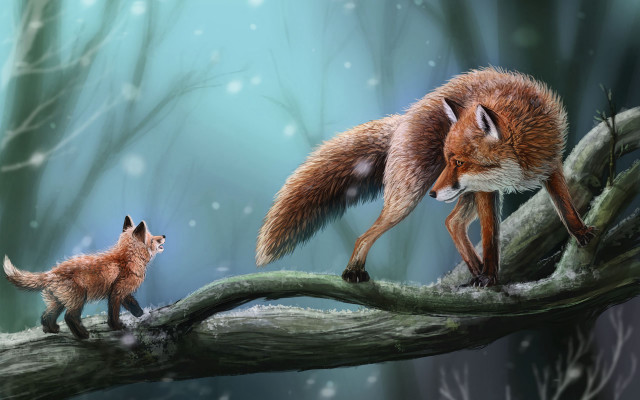 Fox cub branch snow falling free wallpaper - medium preview image