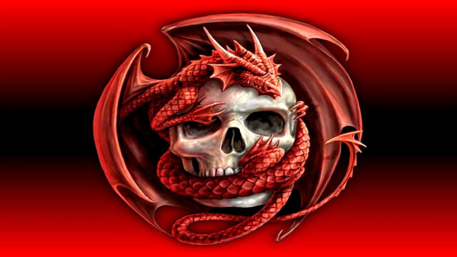 Skull dragon skull middle head free wallpaper - medium preview image