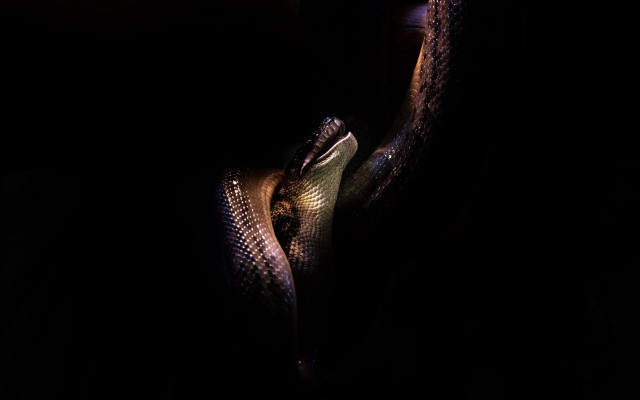 Dark sitting person legs up free wallpaper - medium preview image
