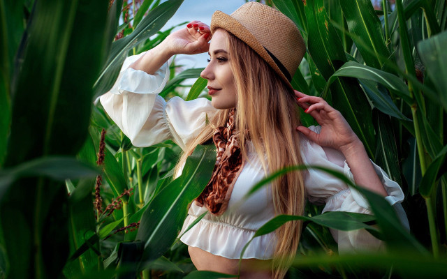 Woman hat scarf cornfield hands free wallpaper - medium preview image