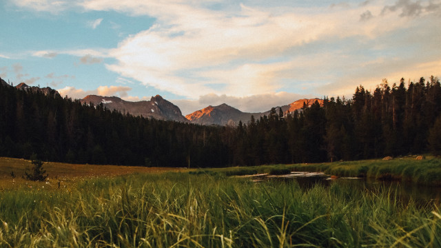 Grassy field mountain lake trees free wallpaper - medium preview image