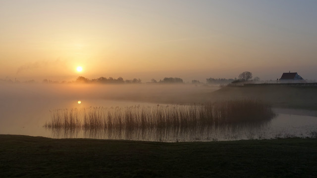 Foggy sunrise lake house trees free wallpaper - medium preview image