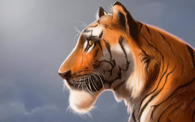 Tiger clouds blue sky furry free wallpaper - medium preview image