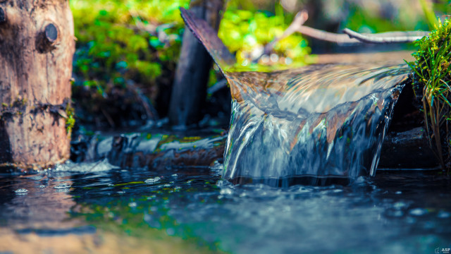 Forest stream water wooden pole free wallpaper - medium preview image