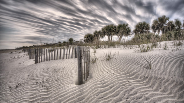 Fence sand dunes palm trees free wallpaper - medium preview image