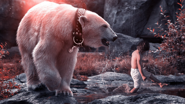 Boy bear stream rocks man free wallpaper - medium preview image