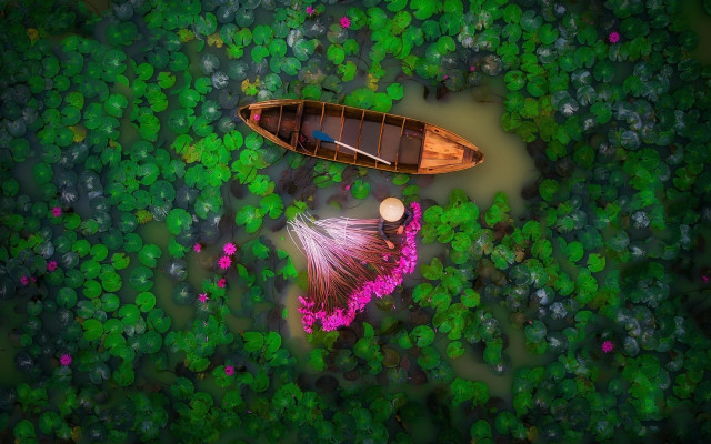 Lake forest flowers green field free wallpaper - medium preview image