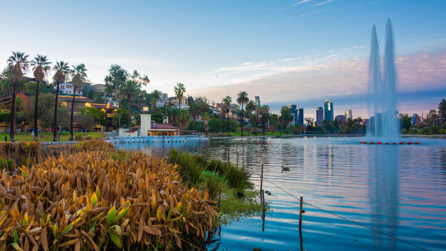Lake fountain city palm trees #2 free wallpaper - medium preview image