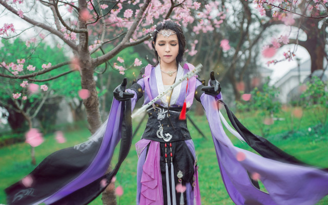 Fan qi cosplay sword cherry free wallpaper - medium preview image