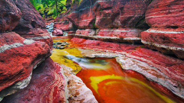 River canyon red rocks green free wallpaper - medium preview image