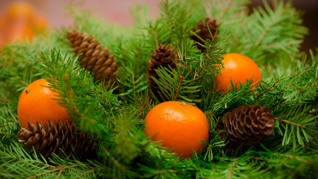 Pine orange cones ornamental folk free wallpaper - medium preview image