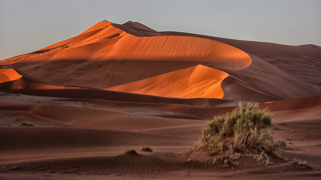 Desert small tree mountain sky free wallpaper - medium preview image