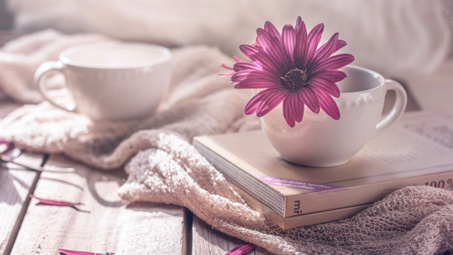 Pink flower white cup book free wallpaper - medium preview image
