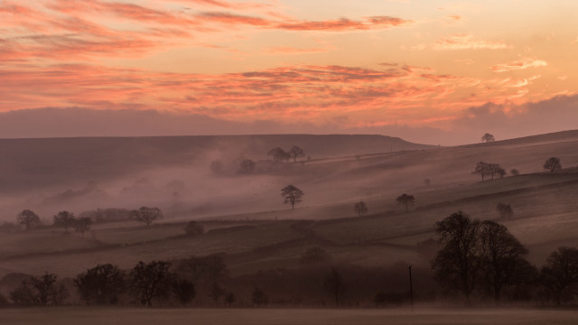 Foggy horizon sunset trees mountains free wallpaper - medium preview image
