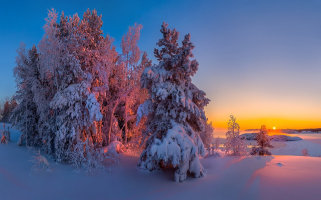 Sunset snowy trees blue sky free wallpaper - medium preview image