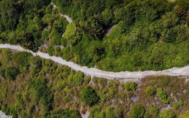 Winding road forest river aerial #2 free wallpaper - medium preview image