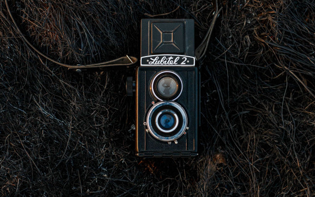 Camera ground cord blackbox bamboo free wallpaper - medium preview image