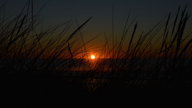 Sunset ocean tallgrass darksky moon free wallpaper - medium preview image