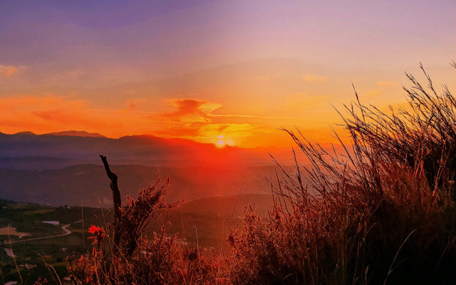 Sunset mountain clouds flowers forest free wallpaper - medium preview image