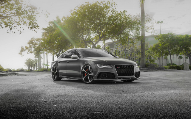 Grey car parking lot trees free wallpaper - medium preview image