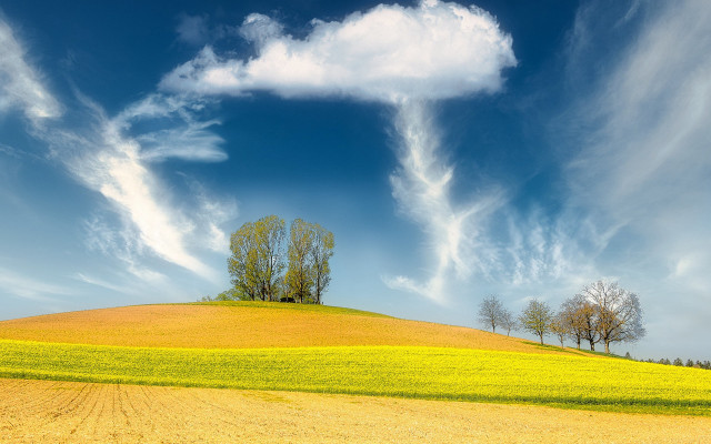 Field tree cloud sky mountain free wallpaper - medium preview image