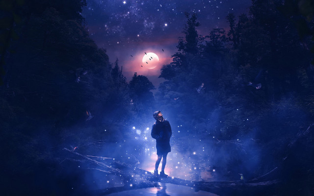 Forest moon night stars fireflies free wallpaper - medium preview image