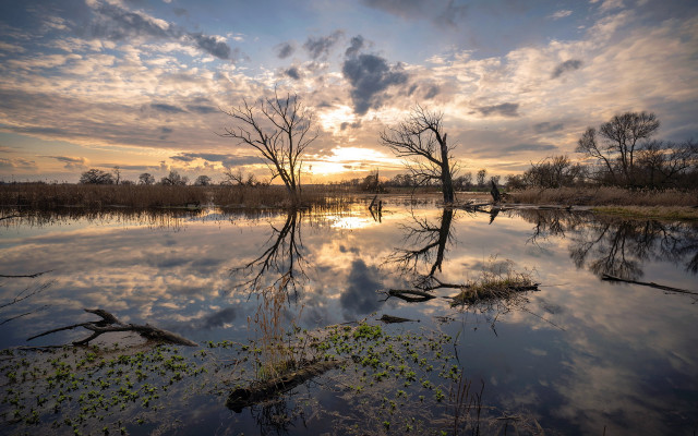 Lake trees clouds dusk reflection free wallpaper - medium preview image