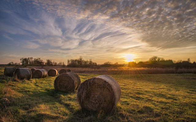 Hay bales sunset clouds cityscape free wallpaper - medium preview image