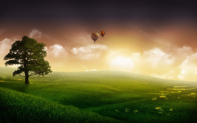Tree hotairballoon sunset landscape matte free wallpaper - medium preview image