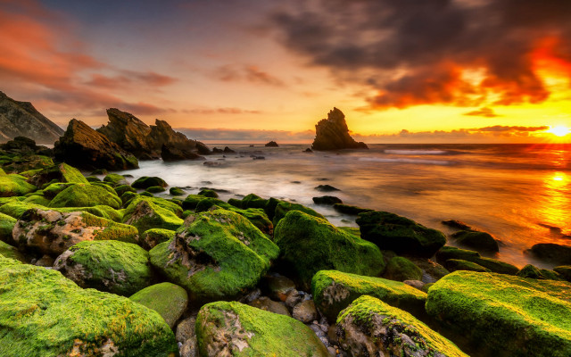 Sunset rocky beach moss water #4 free wallpaper - medium preview image