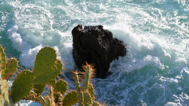 Rock cactus wave ocean landscape free wallpaper - medium preview image