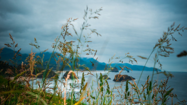 Water mountain grass autumn nature free wallpaper - medium preview image
