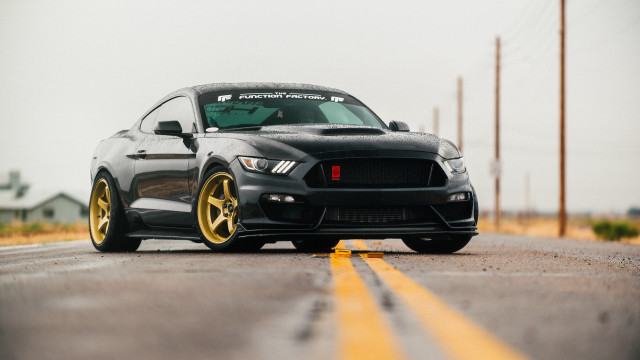 Black mustang yellow rims road free wallpaper - medium preview image