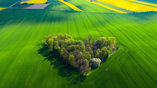 Heart tree greenfield landart puzzle free wallpaper - medium preview image
