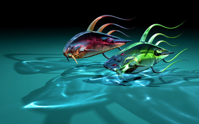 Colorful fish floating water black free wallpaper - medium preview image