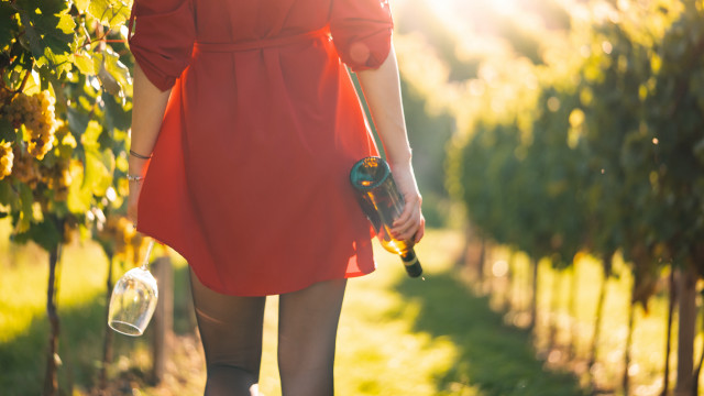 Woman red dress vineyard wine free wallpaper - medium preview image
