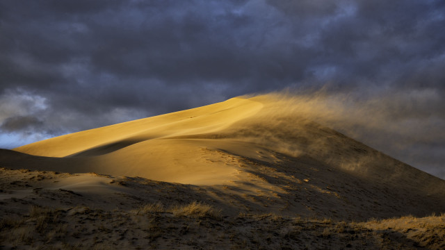 Sand dune cloudy sky bushes free wallpaper - medium preview image