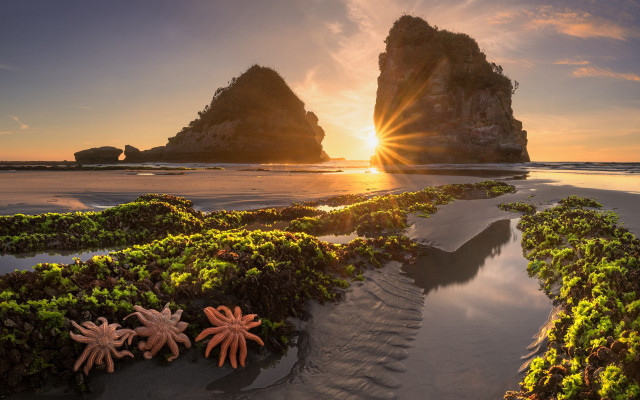 Beach rocks seaweed sunset landscape free wallpaper - medium preview image
