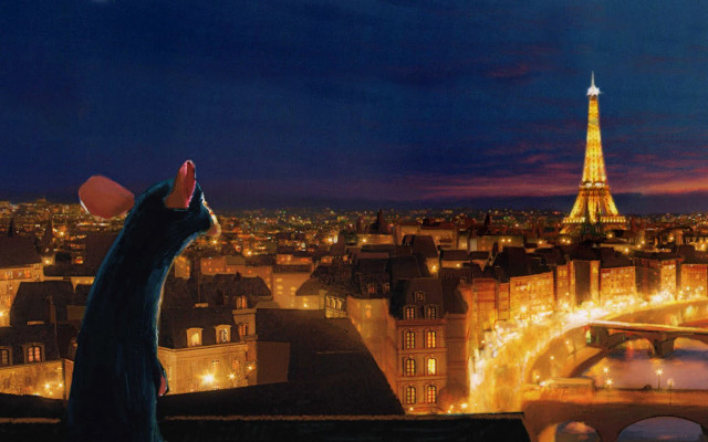 Cat looking city lights night free wallpaper - medium preview image