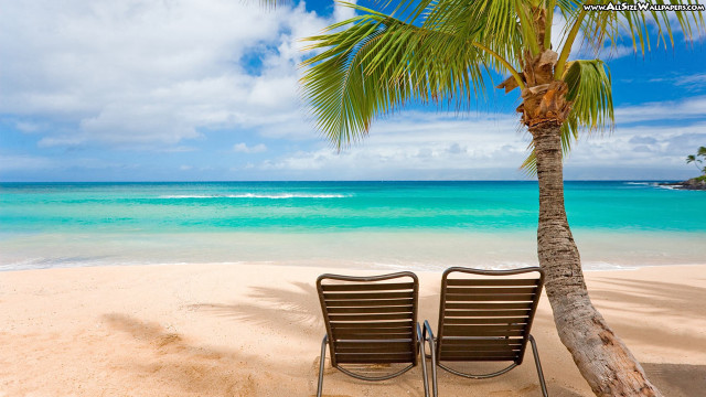 Two chairs beach palm tree #3 free wallpaper - medium preview image