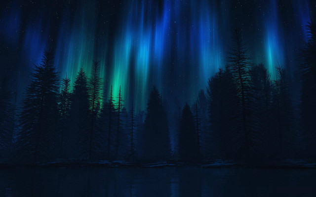 Aurora moon trees night sky free wallpaper - medium preview image