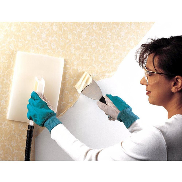 Woman blue gloves painting wall free wallpaper - medium preview image