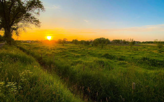 Autumn sunset path tree mountains free wallpaper - medium preview image