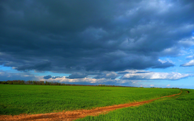Dirt road green field cloudy #6 free wallpaper - medium preview image