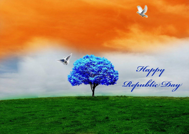 Tree blue hill bird flying free wallpaper - medium preview image