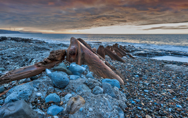 Beach rocks driftwood sunset cloudy free wallpaper - medium preview image