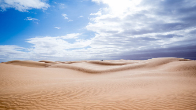 Desert sandscape clouds trees ocean free wallpaper - medium preview image
