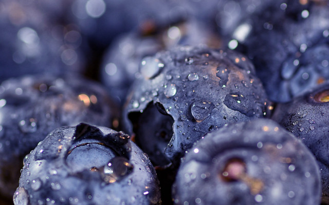 Blueberries water droplets macro bokeh free wallpaper - medium preview image